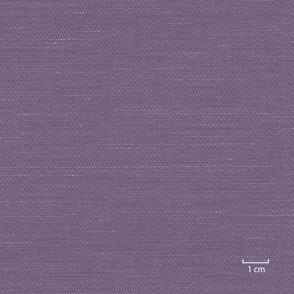 PURPLE, PLAIN