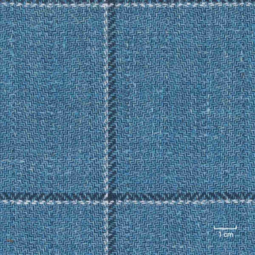 BLUE, CHECKS