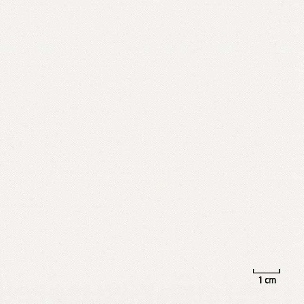 OFF_WHITE, PLAIN (DR# 20167)