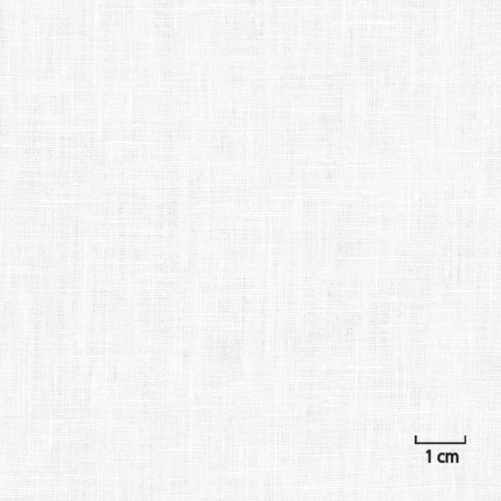 OFF_WHITE, PLAIN (DR# 25107)