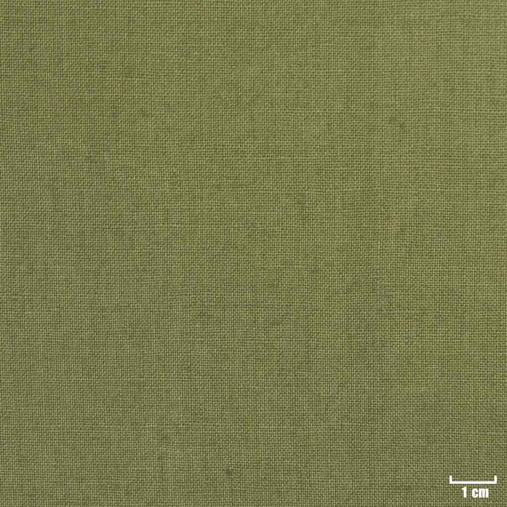 GREEN, PLAIN (DR# 25145)