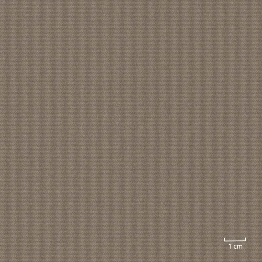 OLIVE, PLAIN