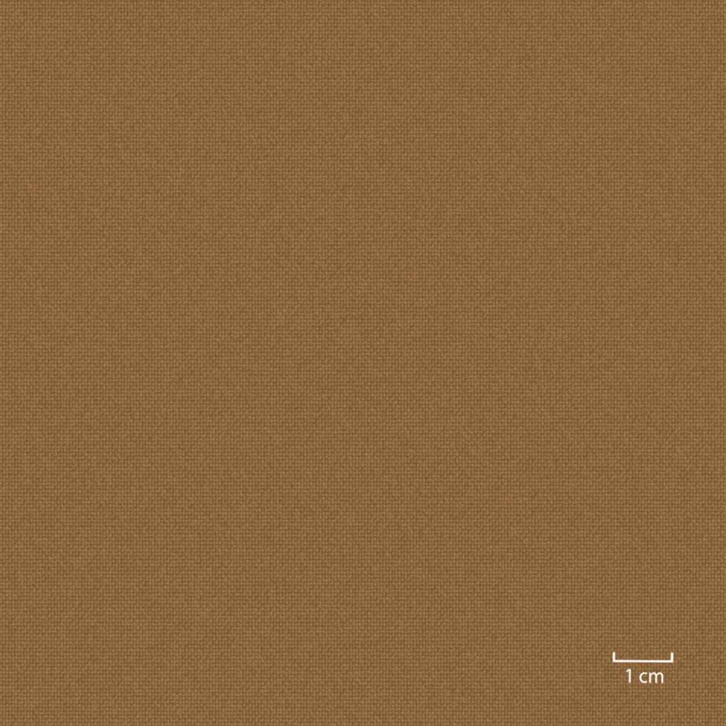 LIGHT BROWN, PLAIN