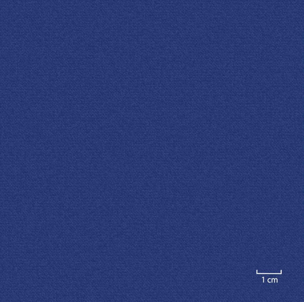 BLUE, PLAIN