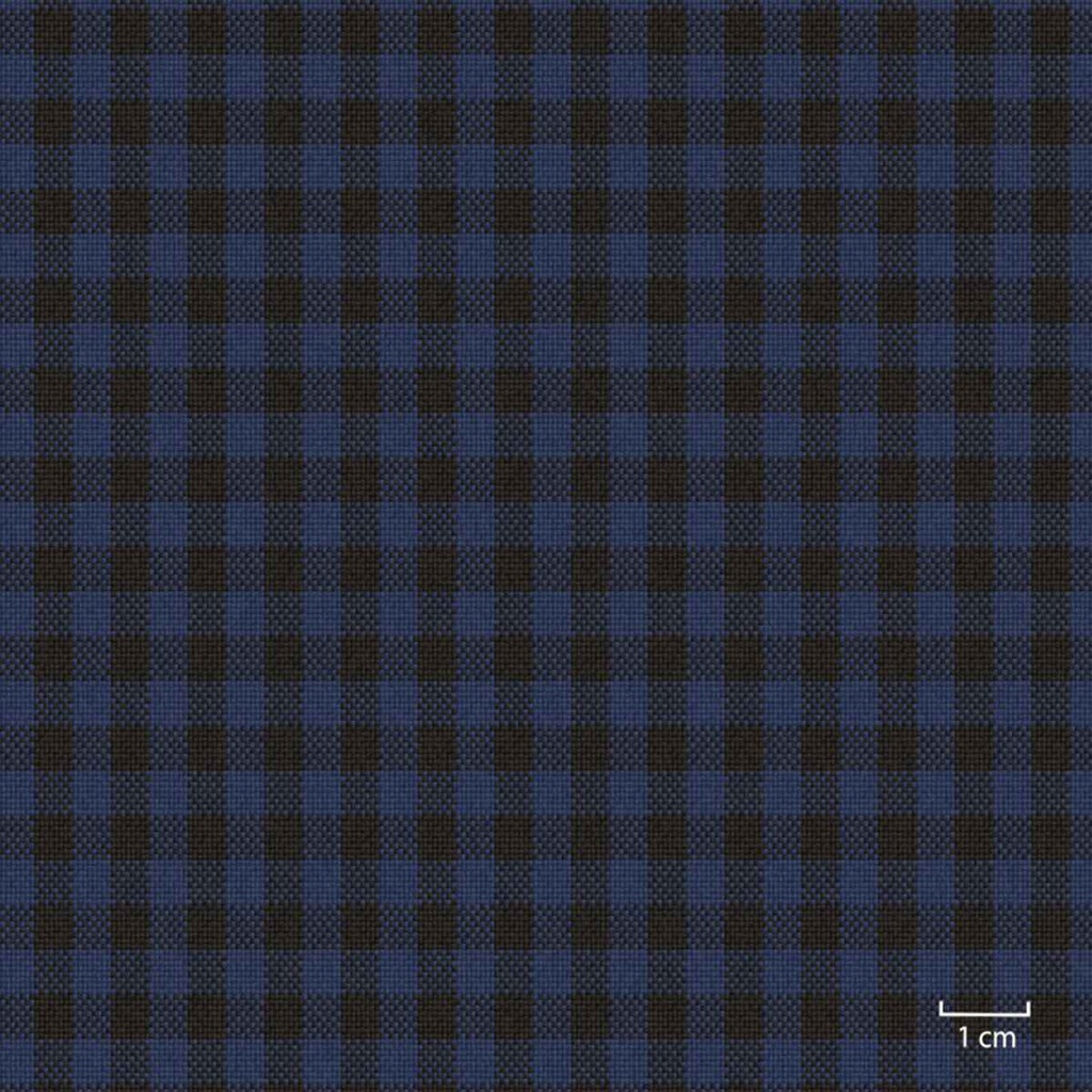 BLUE, SMALL CHECKS