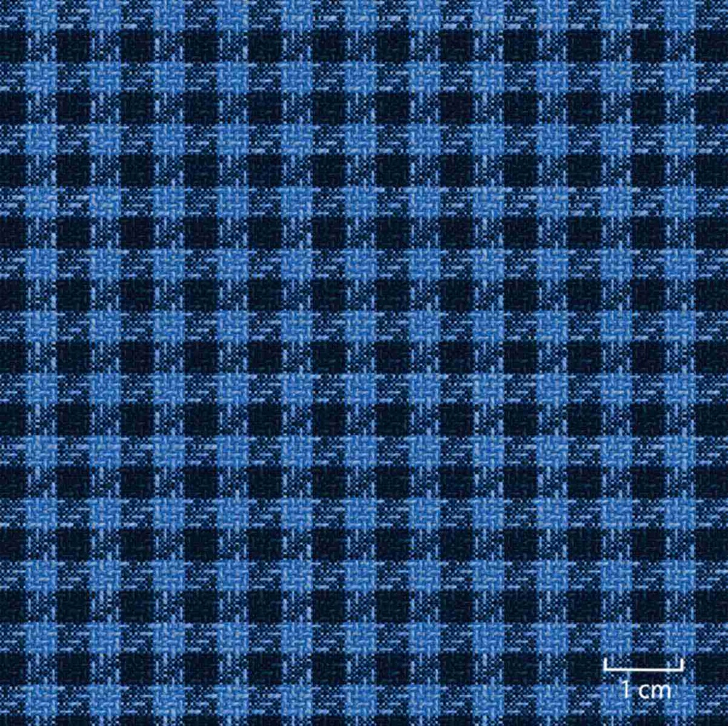 BLUE, SMALL CHECKS