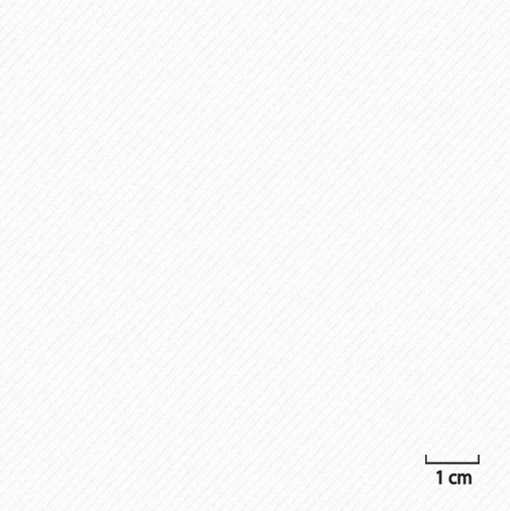 OFF_WHITE, PLAIN