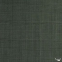 GREEN, SMALL CHECKS