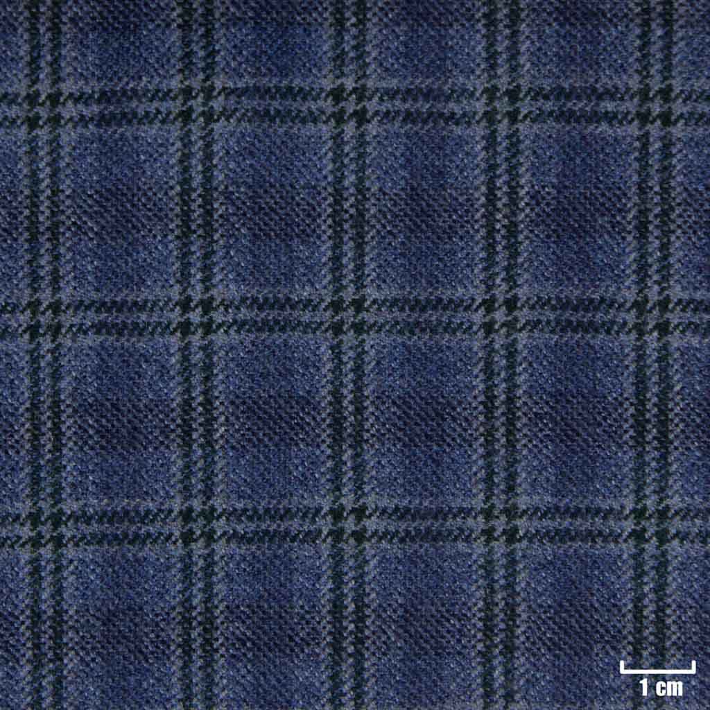 BLUE, CHECKS