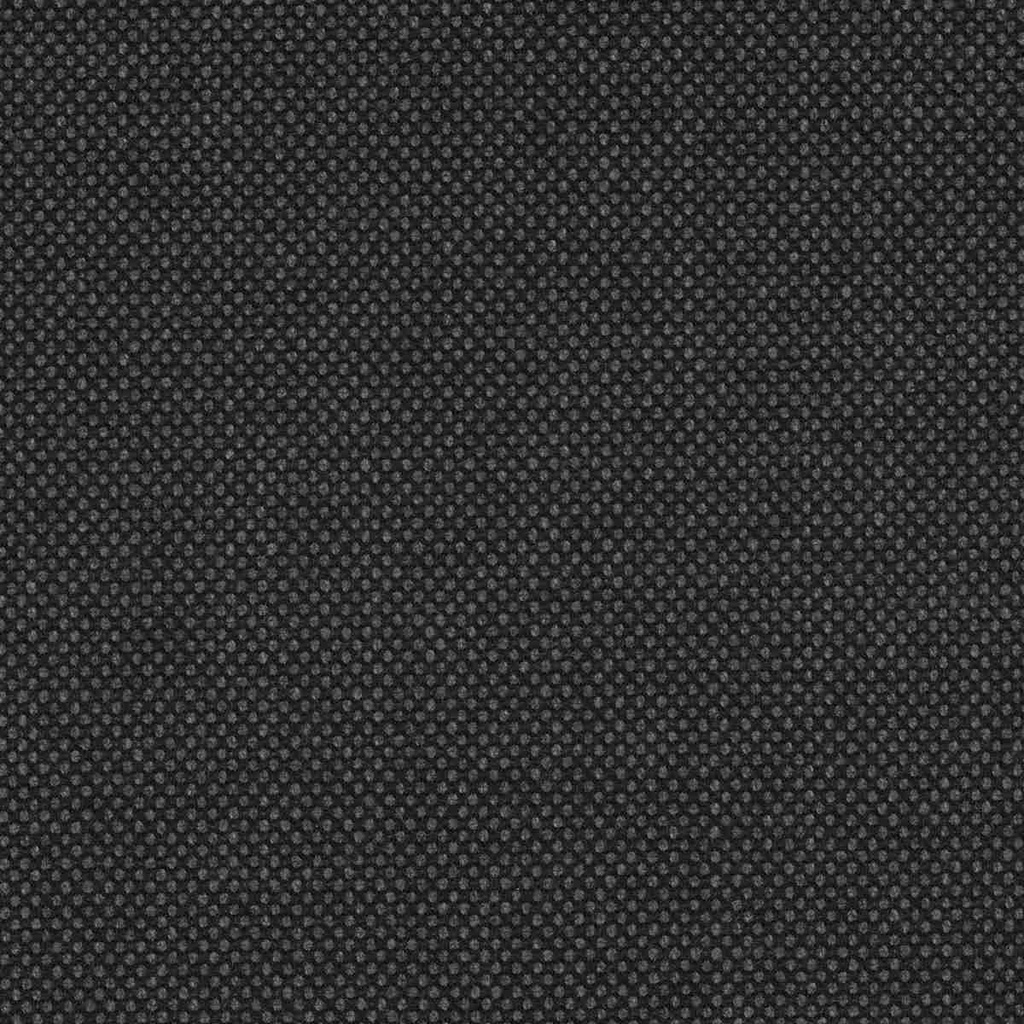 DARK GREY, BIRDEYE (DR# 61031)