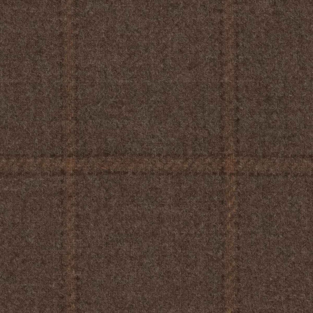 BROWN, CHECKS 