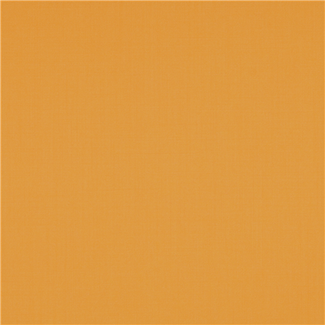 YELLOW,PLAIN (101/60)