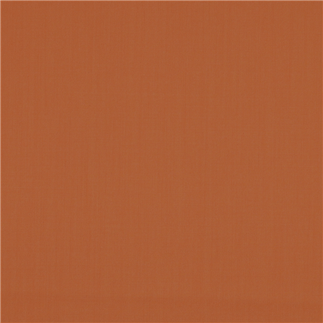 ORANGE,PLAIN (101/61)