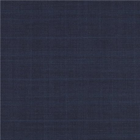 BLUE,CHECKS (102/01)