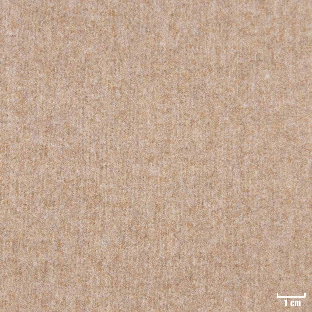 BROWN,PLAIN (16/55)