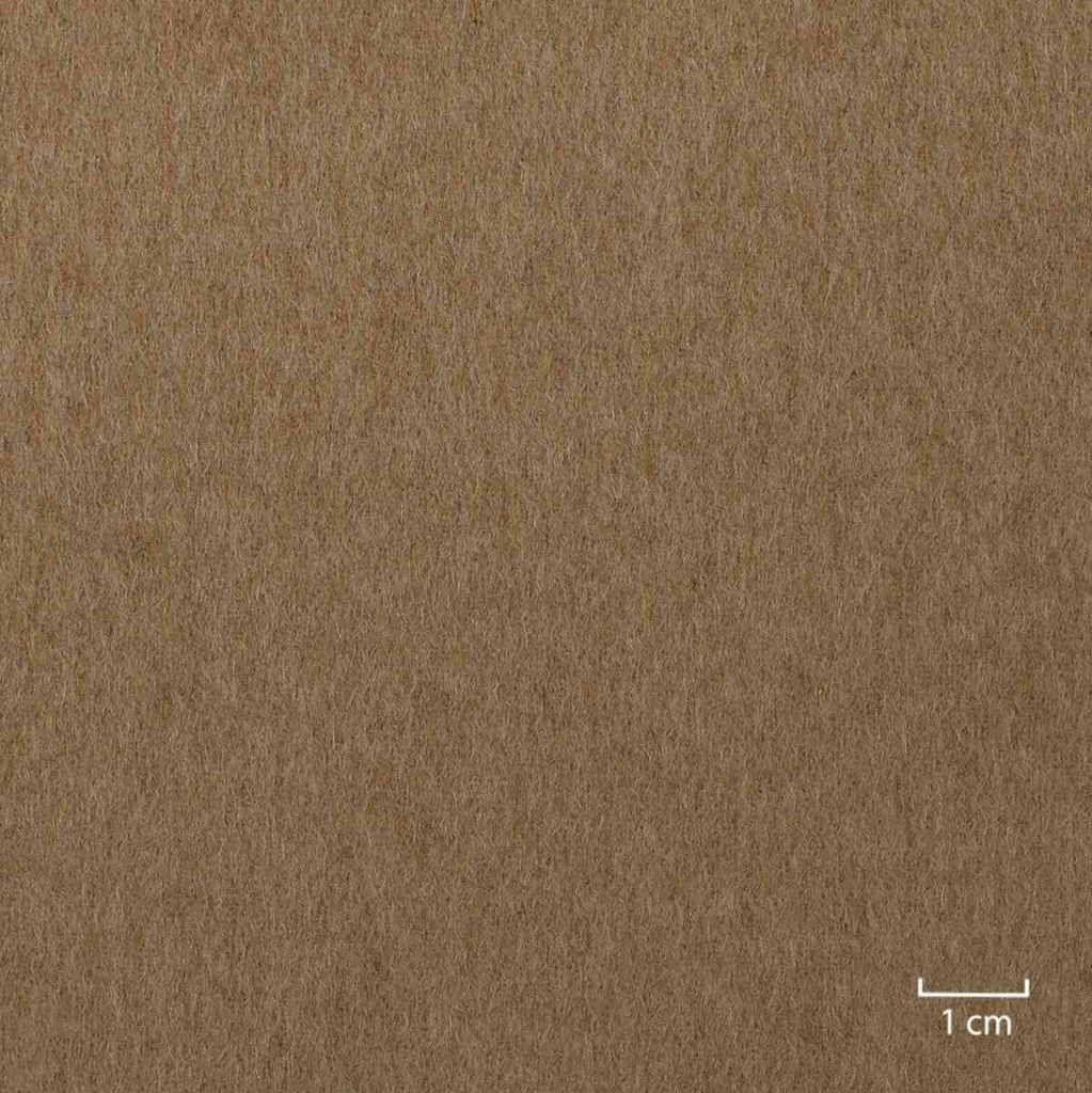 CAMEL,PLAIN (4/01)