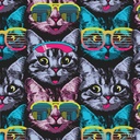 CATS PATTERN