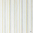 WHITE, YELLOW LINING
