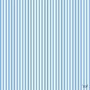 BLUE/WHITE STRIPES/LINING