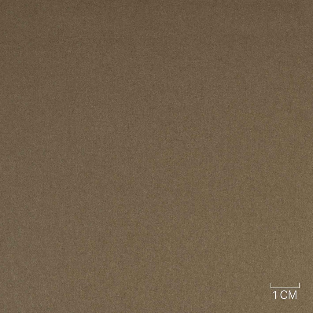 CAMEL, PLAIN (ST# 30041)