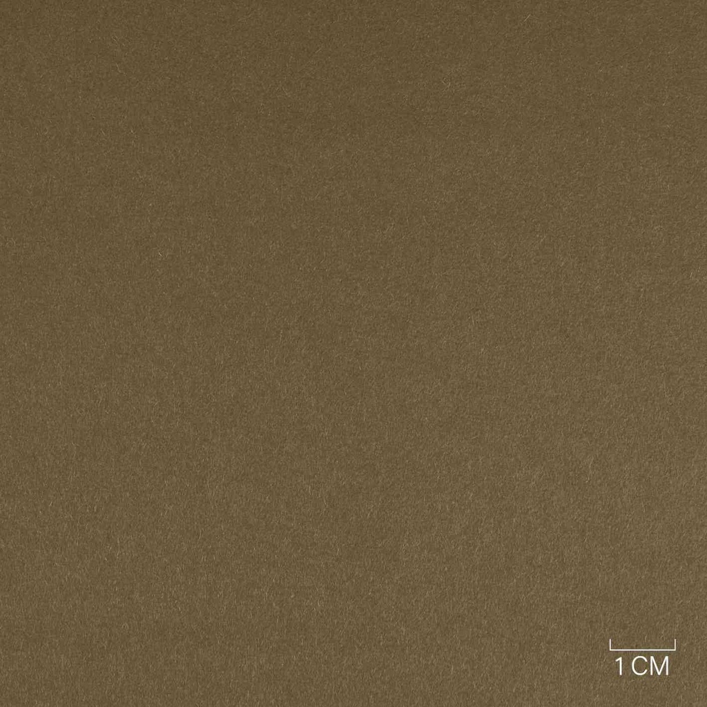 CAMEL, PLAIN (ST# 30017)