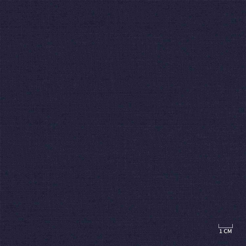 BLUE, CHECKS (103/05)