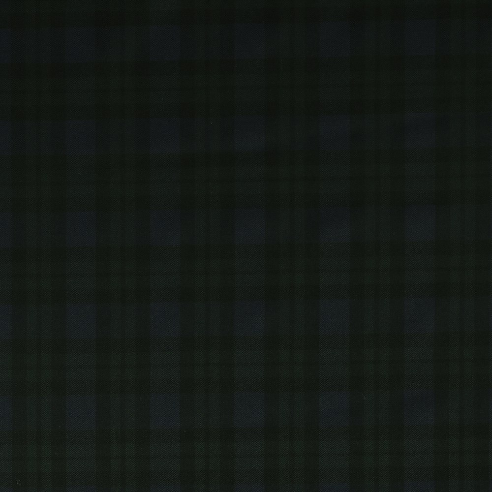 BLUE, GREEN CHECKS (ST# 3061)