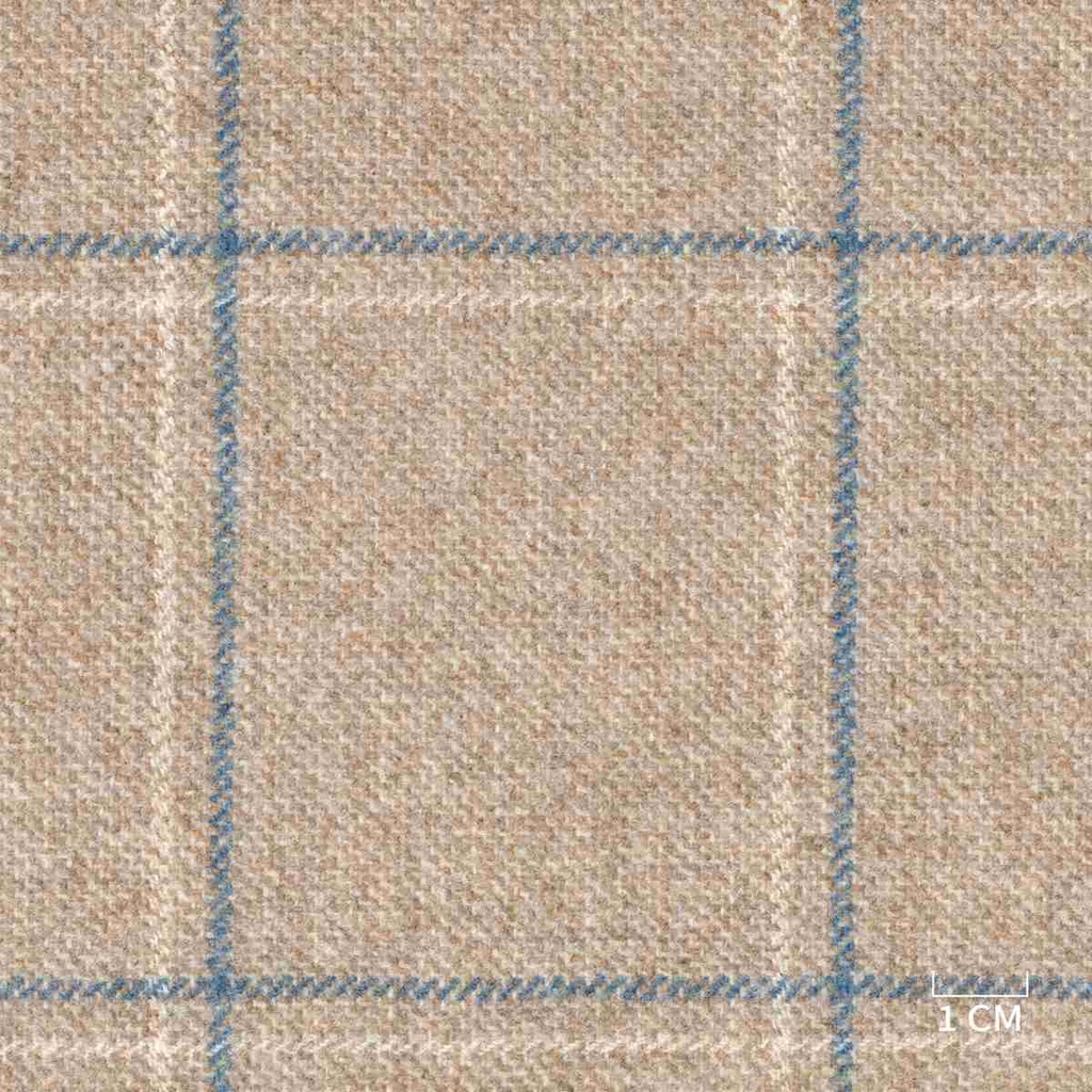 BROWN,BLUE CHECKS (DR# 90448)