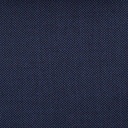 BLUE, BIRDEYE
