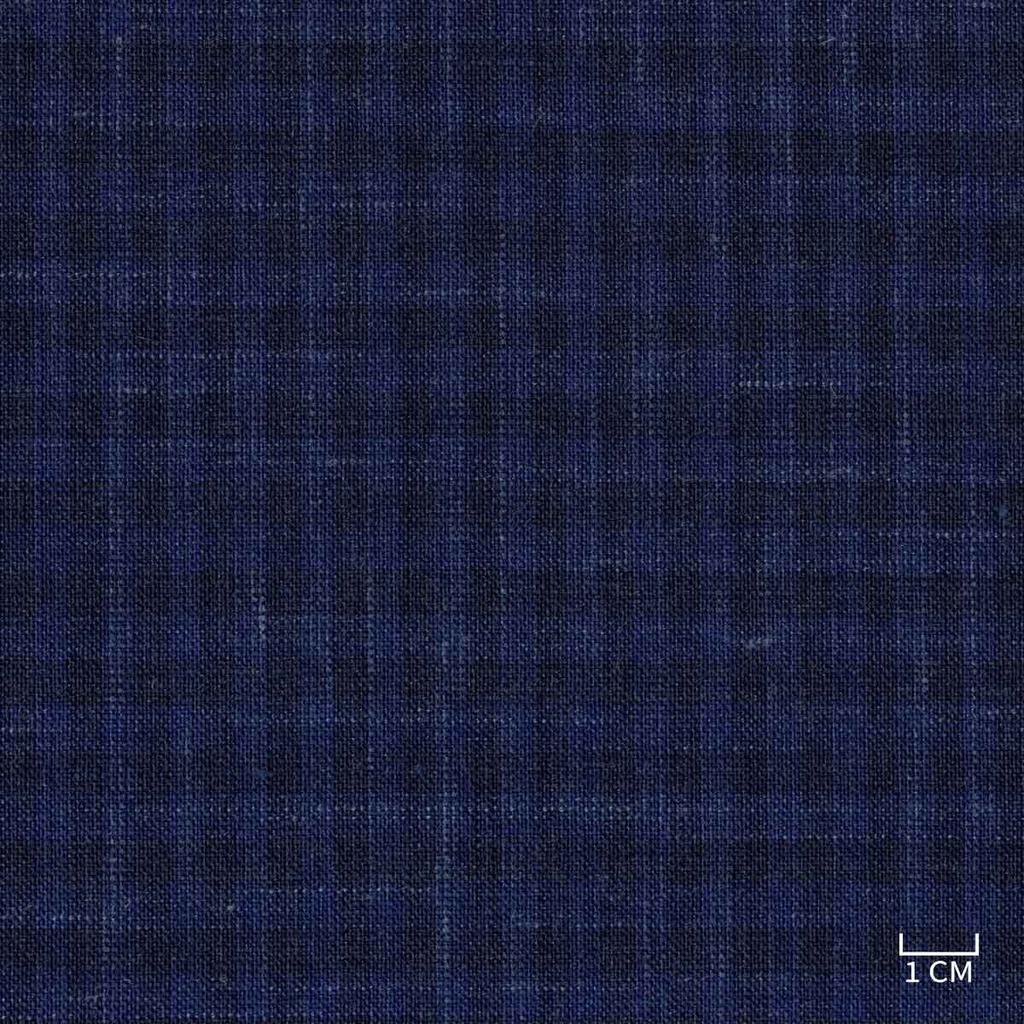 BLUE, BLACK CHECKS