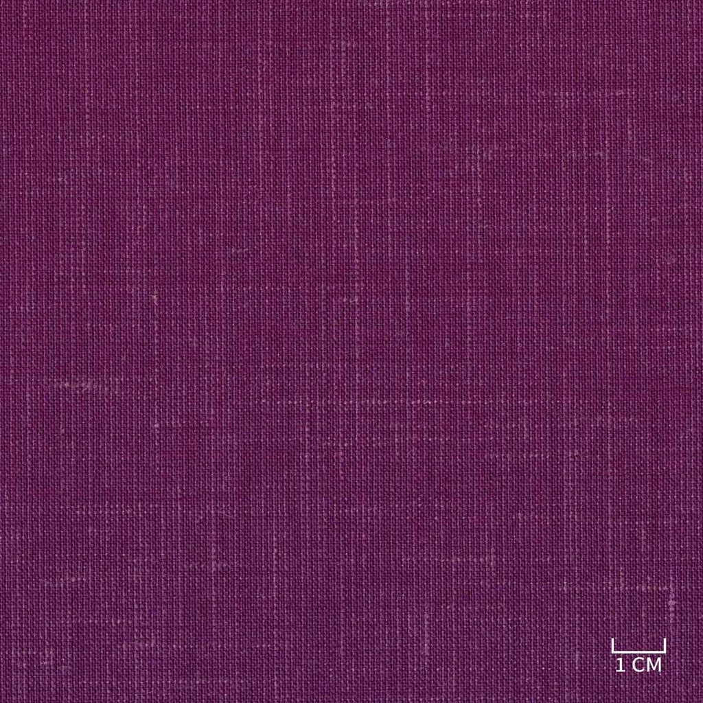 PURPLE, PLAIN