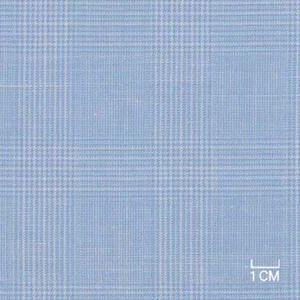 BLUE,CHECKS (19/27)