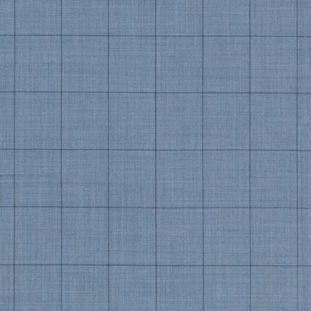 LIGHT BLUE,CHECKS