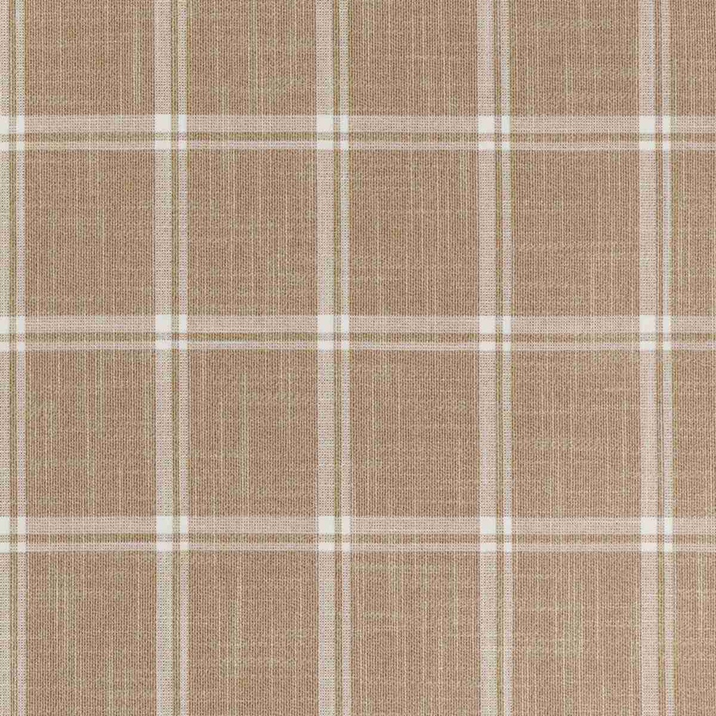 BROWN,CHECKS