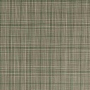 LIGHT GREEN,CHECKS