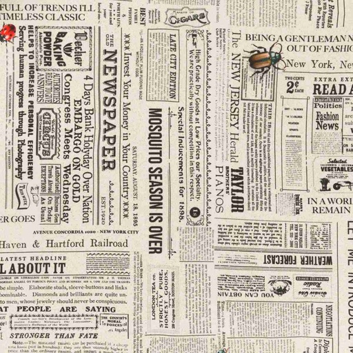 [660403] WHITE, NEWSPAPER AND INSECTS