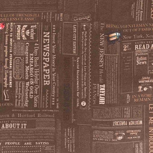 [660404] BLACK, NEWSPAPER AND INSECTS