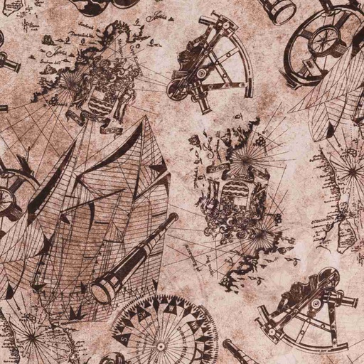 [660442] LIGHT BROWN, COMPASS