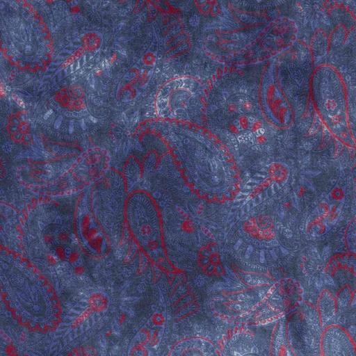[660447] BLUE, PAISLEYS