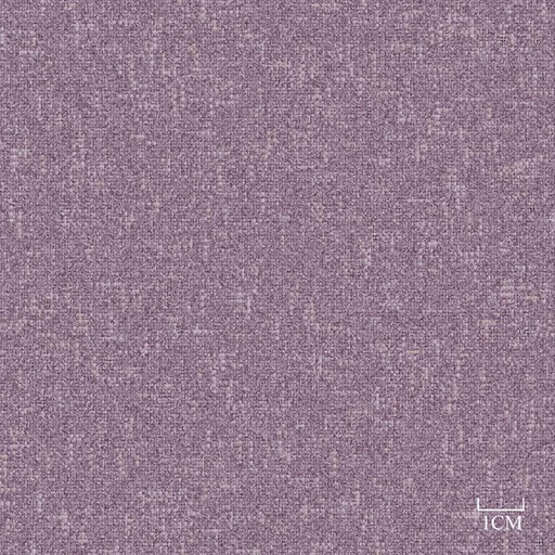 [451913] PURPLE, PLAIN