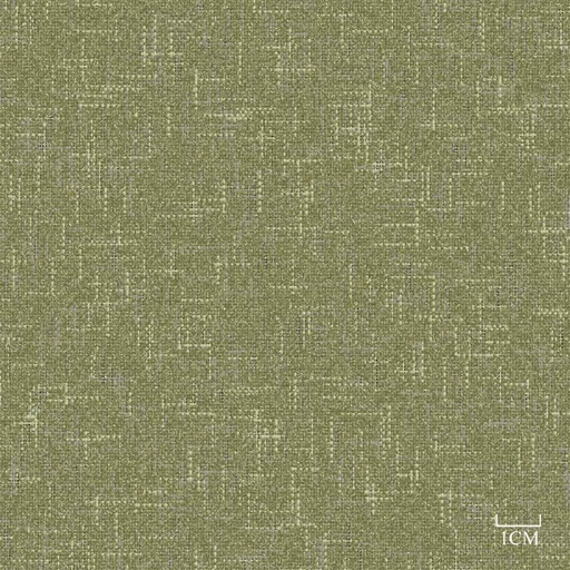 [451917] BRWON GREEN, PLAIN