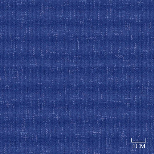 [451921] BLUE, PLAIN