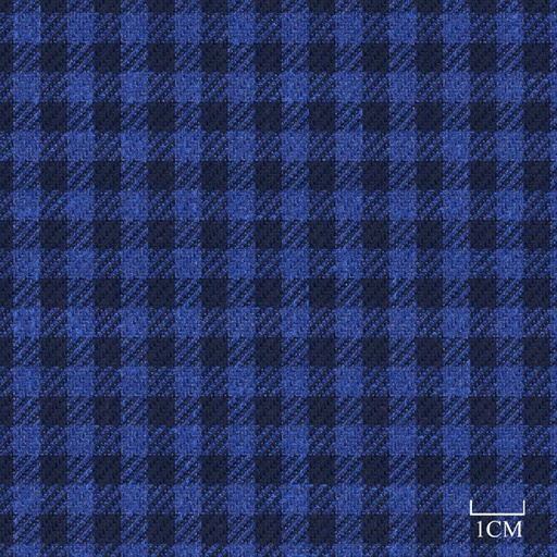 [451933] BLUE, CHECKS