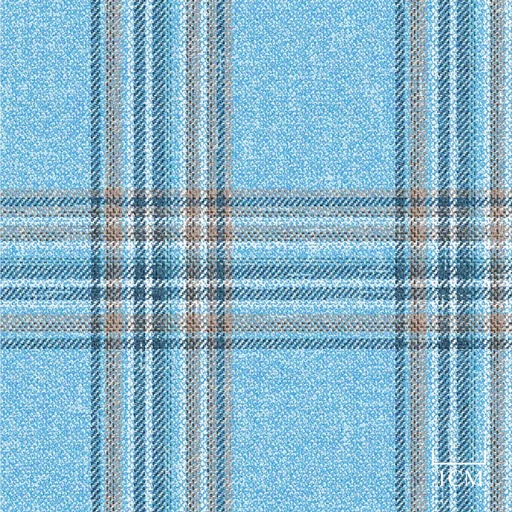 [451939] BLUE, BROWN CHECKS