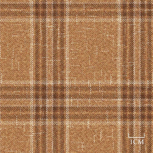 [451943] BROWN, CHECKS