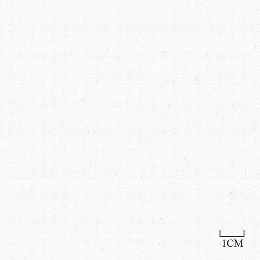 [451949] OFF WHITE, PLAIN