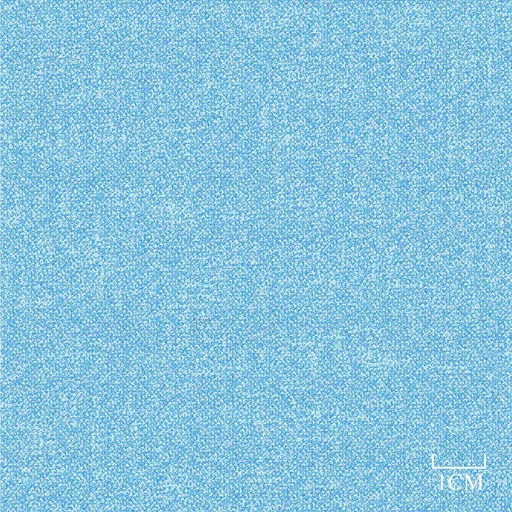 [451962] BLUE, PLAIN