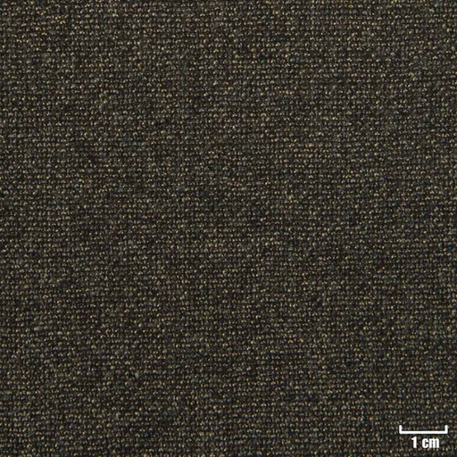 [229227] BROWN, DOTTED PATTERN