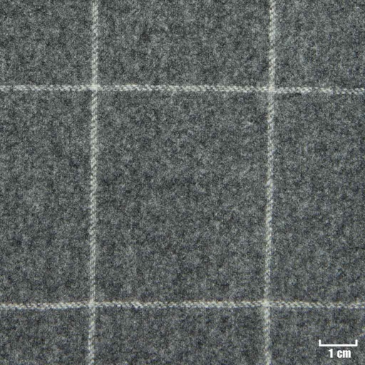 [229256] GREY, OFF WHITE CHECKS