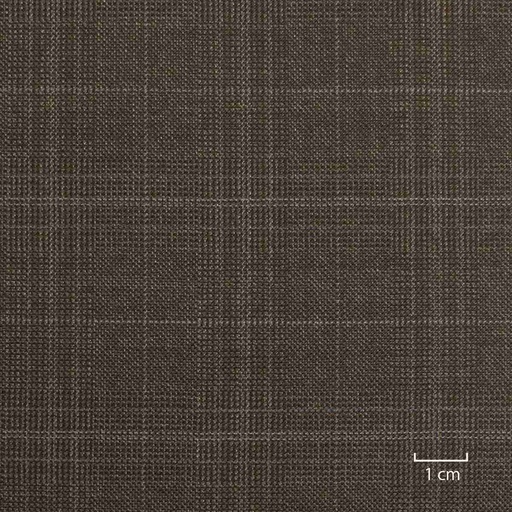 [503117] BROWN, CHECKS